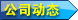 公司动态